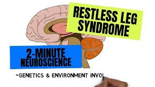 2-Minute Neuroscience Restless Legs Syndrome