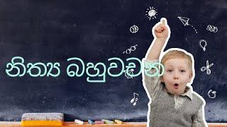 නිත්‍ය  බහු  වචන