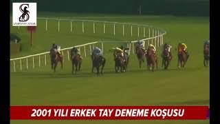 Son Triple Crown Şampiyonu Üçlü Taçın İlk Ayağında