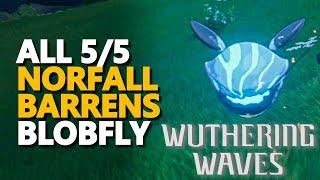 All Norfall Barrens Blobfly Wuthering Waves