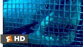 Deep Blue Sea 1999 - Smart Sharks Scene 210  Movieclips