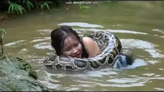 Python snake squeeze her over and over again remake