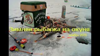 Зимняя рыбалка на окуня- Краткий отчёт о рыбалке 27.11.20