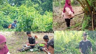 mencari rezeqi di hutan pakis... lanjut makan siang ramai ramai