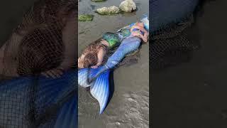 Two Real Mermaids washed up on the beach?  is one still moving?? #realmermaid