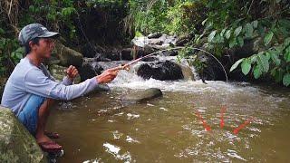 HEBOH. Mancing Wader Dengan Joran Super Lentur dari Cianjur #LM25