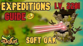 DOFUS - EXPEDITIONS - Soft Oak Guide  8 loot 