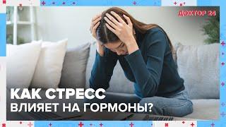 СТРЕСС и ГОРМОНЫ  Доктор 24