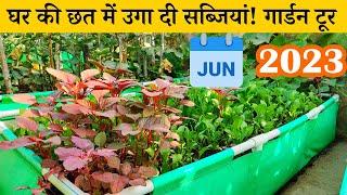 घर की छत में उगा दी सब्जियां जून महीने का पहला गार्डन टूर  June Month Terrace Garden Tour Video