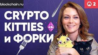 Криптокотики и рождественские хардфорки ► Token News. Выпуск #2