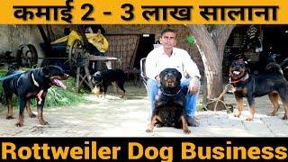 Dog Farming in india  Rottweiler Dog Business   कुत्ता पालन की पूरी जानकारी