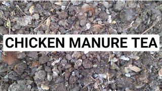 How To Make Chicken Manure Tea Tea fertilizer.#fertilizer#organic fertilizer#athome#garden