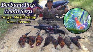 BERBURU AYAM HUTAN SAWIT Part 42  Pagi Lebih Seru