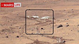 NASA Mars Rover Sent Super Incredible Footage of Mars Perseverance and Curiosity Rover Mars in 4K