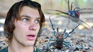 Hunting Australias Most VENOMOUS Spiders Funnel-Web & RedBack