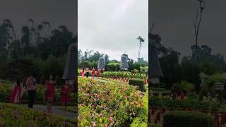 Wisata Taman Cantik di Tabanan yg penuh Bunga #bali #buleleng #thebloomsgarden #flowers