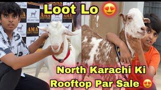 North Karachi Ki Rooftop Par Ali Ne Qurbani 2024 Ka Bakray Ki Sale Laga Di  Bakra Mandi 2024