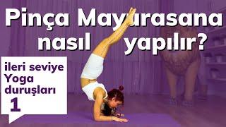 Pinça Mayurasana Nasıl Yapılır? ⎮ Forearm Stand ⎮ Nava Nur Tüzüner