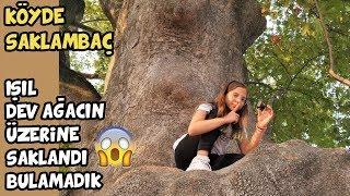 KÖYDE SAKLAMBAÇ Işıl Dev Ağaçta Saklandı  Hide and Seek on Giant Tree - Eğlenceli Çocuk Videosu BF