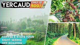 தனியார் காபி எஸ்டேட் சுற்றுப்பயணம்  Yercaud  cavery peak coffee estate tour  private lake #coffee