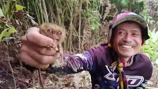 MGA TARSIERS KINUHA NG MGA VLOGGERS TRENDING NGAYON