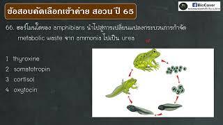 เฉลยข้อสอบเข้าค่าย สอวน ปี 65 ข้อ 66  ผลจาก metamorphosis