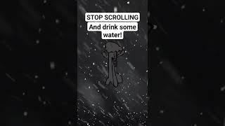 A much needed break. #water #ice #funny #stopscrolling #toothless #everest