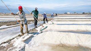 India’s Cheapest Technique to Produce Massive Tons of Salt Every Year