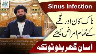 Sinus infection Treatment Home Tips  Easy Treatment of Nose Ear Eye and Throat Problems  Ubqari