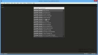 Урок 6 - Устанавливаем плагин Package Control