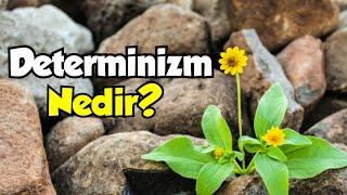 Determinizm Olayların Belirlenmişliği