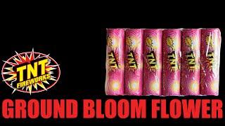 Ground Bloom Flower - TNT Fireworks® Official Video