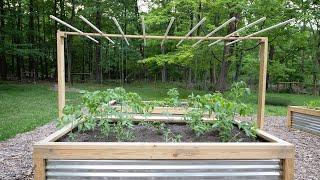 DIY Garden Trellis from PVC String and Plastic Clips