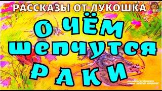 О ЧЁМ ШЕПЧУТСЯ РАКИ — Рассказ  Михаил Пришвин  Аудиокнига  Детские рассказы  Книги онлайн