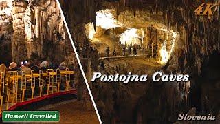 Spectacular Postojna Caves Postojnska Jama – Slovenia Travel 4K