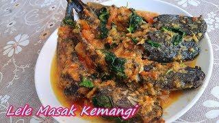 Resep Lele Masak Kemangi pedas enak dan mudah