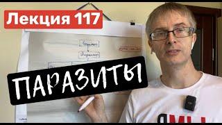 Лекция 117. Паразиты. Создание служб внутреннего контроля.