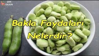 Bakla Faydaları Nelerdir?