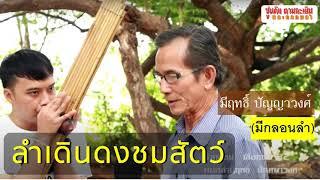 ลำเดินดงชมสัตว์ l มีฤทธิ์ ปัญญาวงศ์ l  มีกลอนลำ + คำบรรยาย sub