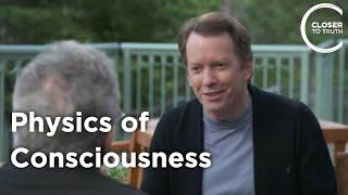 Sean Carroll - Physics of Consciousness