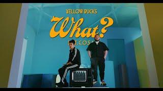 ¥ellow Bucks - What? feat. C.O.S.A. Official Video