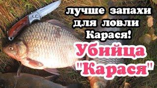 Какие запахи любит карась в сентябре на что ведётся рыба осенью.