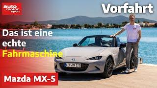 Mazda MX5 Facelift ohne viele Änderungen – Vorfahrt Review  auto motor und sport