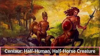 Centaur  Half Human Half Horse Creature