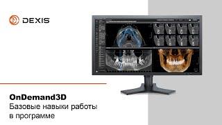 OnDemand3D базовые навыки работы в программе