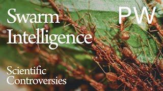 Swarm Intelligence  Scientific Controversies