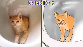 Cat Memes Skibidi Toilet Cat and Funniest Dogs updated  Trending Funny Animals 