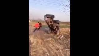 full funny  amazing  video Chinese #short #youtubeshorts #funny #facebook