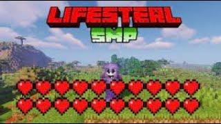 The BEST Lifesteal Realm on Minecraft Bedrock Edition READ COMMENTS MCPE Xbox One PS4 Windows