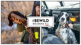 #BEWILD ep3 - Bologna pt.1  Caccia al Fagiano e alla Beccaccia